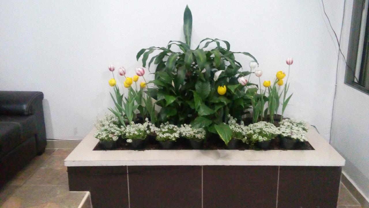 Hotel Alo Inn Xalapa Eksteriør billede